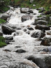 Water stream in the Madrid mountains