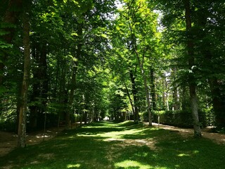 alley in the park