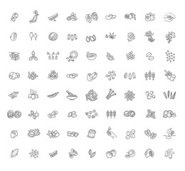 Plant seed, nuts and berries vector icon set