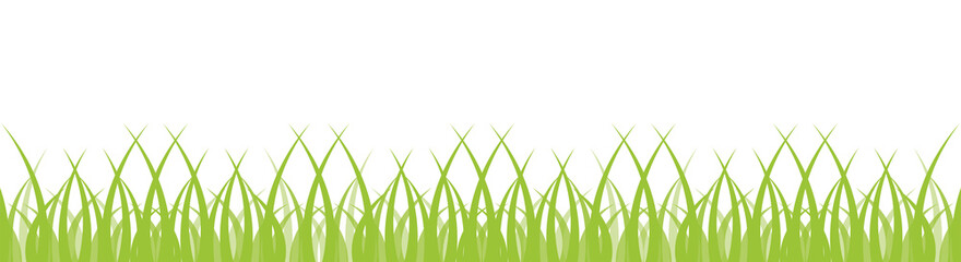 Green grass on white background. Organic shape border isolated. Meadow nature vector banner. 