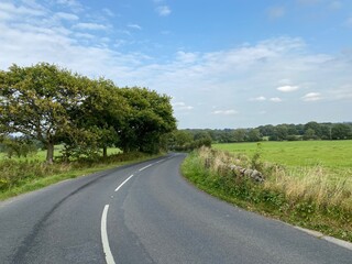 Fototapeta premium Country road, with old trees, wild plants, and fields near, Farnley, Otley, UK