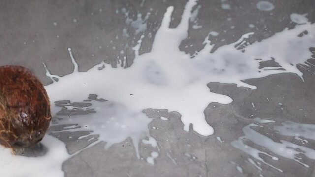 Slow motion falling coconut and milk splashing around
