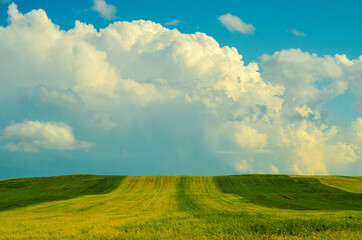 Obraz premium Green grass, sky and clouds