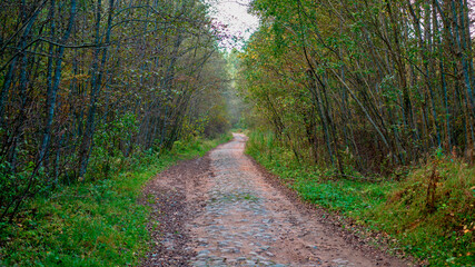 Obraz premium Empty old abandoned cobblestone road in the forest on sunny fall day