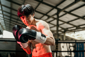 close up of handsome muay thai boxer fighting in gloves in boxing ring with the copyspace