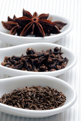 various kinds of colorful dry spices in white ceramic spoon and box over white background, mix of spices over white background like modern food art