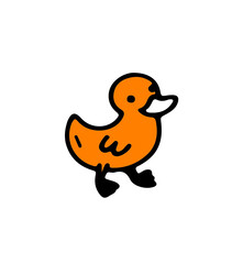 duck