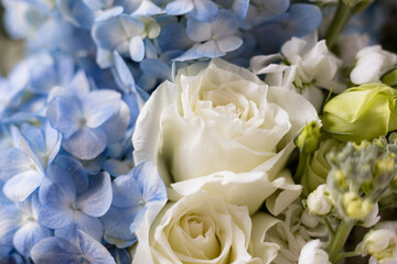 Obraz na płótnie Canvas Beautiful flower bouquet close up