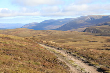 Scotland landscape in the summer