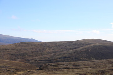 Scotland landscape in the summer