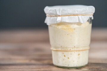 Sourdough starter