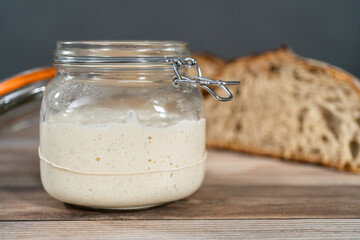 Sourdough starter