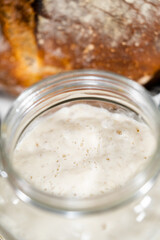 Sourdough starter