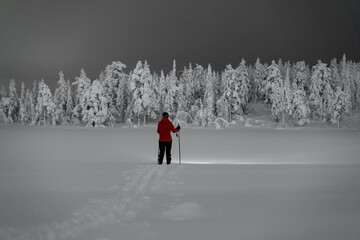 Female hiker wearing snow shoes, walking across a snow covered tundra in a wild winter landscape at...