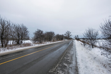 Fototapeta premium A winter scene