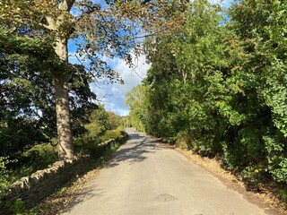View along, Thornhills Beck Lane, with dry stone walls, and overhanging trees in, Clifton, Brighouse, UK