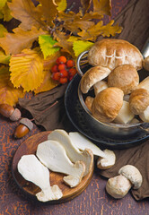 Mushroom Boletus edulis over Wooden Background, close up on wood rustic table. Cooking delicious organic mushroom. Gourmet food