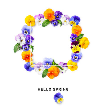 Frame with spring viola pansy flowers