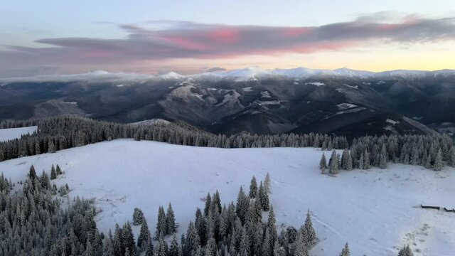 Drone flying above mountain valley at golden hour with pink skies Aerial shot of winter snow covered frozen pine forest
