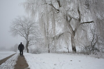 A man in black clothing goes walking on a bleak winter's day after heavy snow and frost.