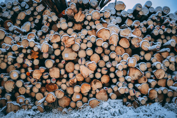 stack of firewood