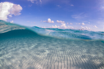 Caribbean Underwater split shot