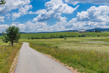 road in the countryside