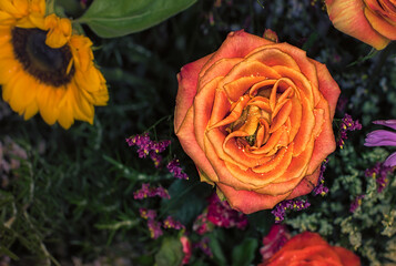 Close-up of a mixed bouquet of roses,summer flowers background.