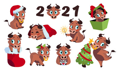 New year bull. Cartoon funny ox. Happy cow and New Year decorative elements. Cute domestic animal with red Christmas sock or cap, fir tree and holiday presents. Isolated mascot, vector flat set