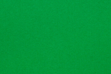 Detail of green colour paper sheet (school poster board) texture. Plain background