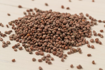 White radish seeds