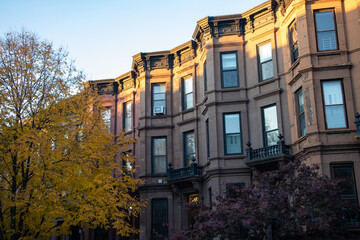 Fototapeta premium Row of Similar Old Brownstone Homes in Park Slope Brooklyn New York with Trees during Autumn