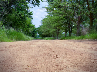 Obraz premium Countryside gravel road