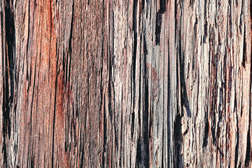 Fototapeta premium texture of the old wooden background is shot close-up Backlit