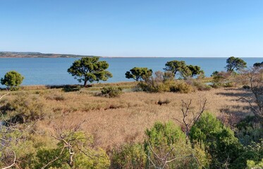 vue aérienne de l'Etang de Bages près de Narbonne dans l'Aude (France)