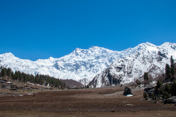 Fototapeta premium landscape with snow
