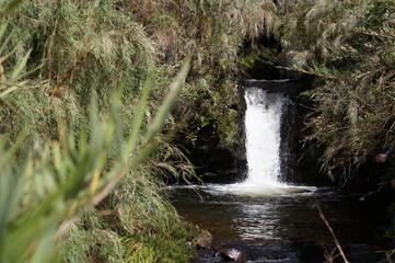 Una linda cascada