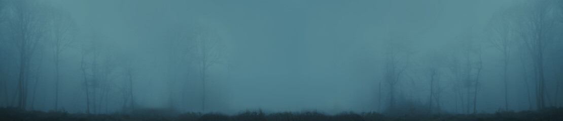 panorama of forest fog in the winter forest, mysterious mystical landscape of greenish color