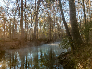 Obraz premium Early Winter Morning on Little Devil's Spring Run at Ginnie Springs on the Santa Fe River, Florida 
