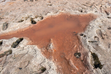 Pink redish water in sand from algae, minerals, and salt deposits close up in Ras al Khaimah, United Arab Emirates