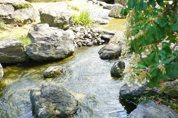 Naklejka na ściany i meble Japanese Garden at Ohori park in Fukuoka prefecture, Japan - 大濠公園 日本庭園 福岡 日本 
