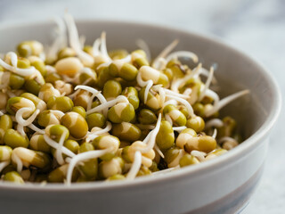Small bowl with sprouted mung beans.