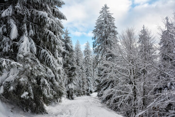 Winterwanderweg im Schwarzwald