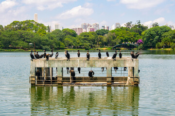 Paisagem linda do parque