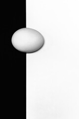 Artistic black and white egg photo
