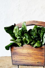 basket of leafy greens - spinach, beet leaves, kale, collard greens.