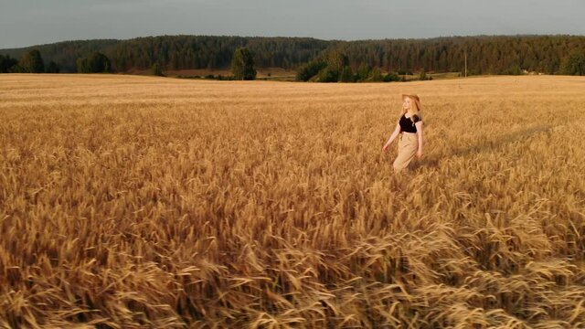 Girl in hat and hat walking on wheat field in summer and touching ripe wheat ears. Blonde girl enjoying peacefulness and beautiful nature. Concept of harvest. Freedom concept.