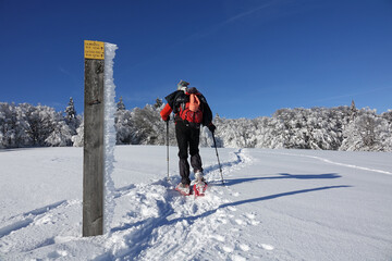 Fototapeta na wymiar Randonnée raquettes en Janvier 2021 dans le massif du Vercors avec une neige et un temps exceptionnels