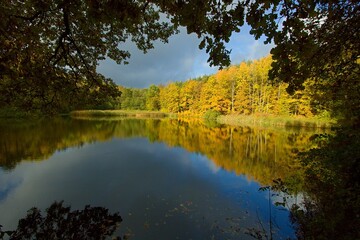 Forest lake during colorful autumn in National Park Podyji, Czech Republic