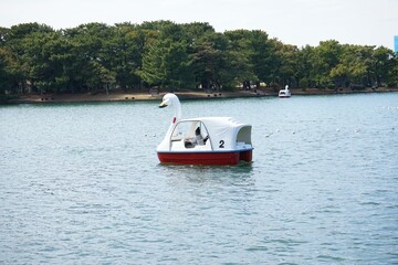 Fototapeta na wymiar Swan boat floating on the pond at Ohori park in Fukuoka prefecture, Japan - 大濠公園 足漕ぎボート スワンボート 福岡 日本 